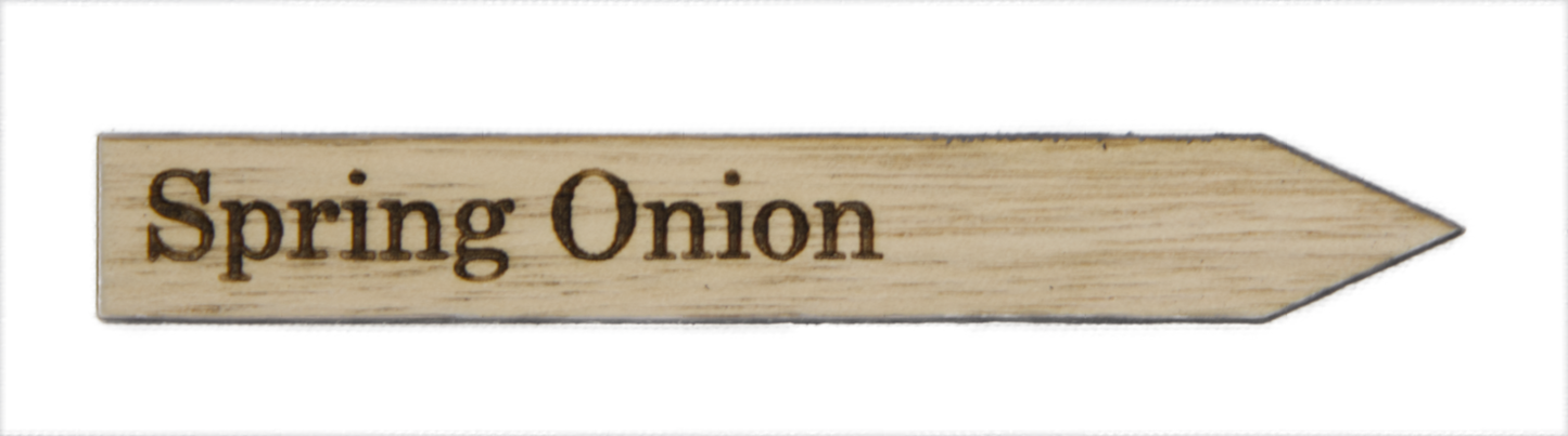 Spring Onion Plant Label