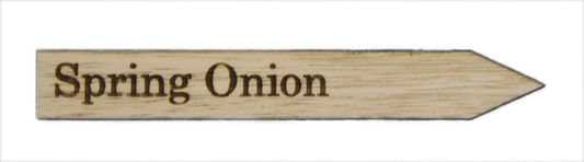 Spring Onion Plant Label
